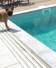 Schwimmbadtechnik und Bauschlosserei Ahnert Bild 11