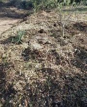 AgrEcoPaillage image 6