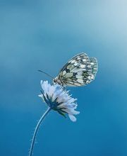 Pompes Funèbres Barras SA Crans-Montana Bild 1
