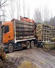 Les Bois Du Sud-Ouest image 3