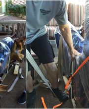 Muscleman Elite Moving & Storage image 16