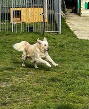 Le royaume du Bonheur image 3