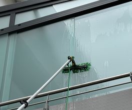 IMG_6486.jpeg