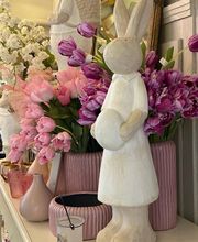 Dekoplus Elgg Bild 3