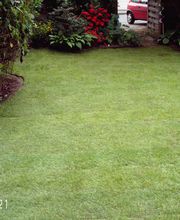 A-Z Garten- und Landschaftsbau Ingo Schmidt Bild 26