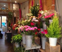 Mireille Fleurs image 7