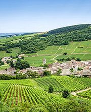 Mairie - Montagny-les-Lanches image 1