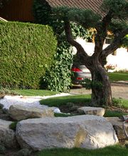 Denis Sippel SA Bild 6