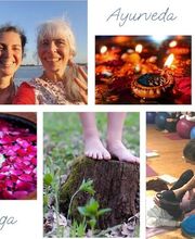 Yogamrita, Ecole de Yoga et d'Ayurveda image 9