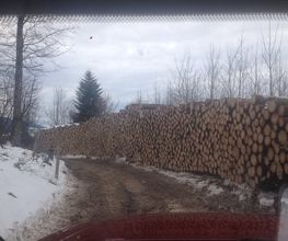 Savary Marc Sàrl Bild 6