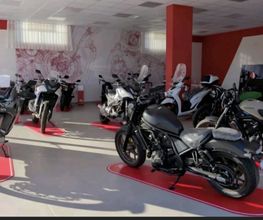 Gallery Cliente
