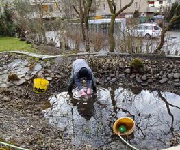 GMH Gartengestaltung Bild 2