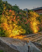 Vertikale Begrünung als Sichtschutz.JPG