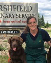 Marshfield Veterinary Service image 6