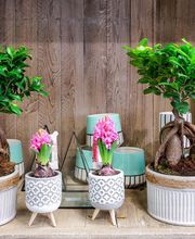 Brin De Nature image 11