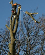Carbonneaux Paysage image 2