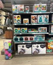 ORCHESTRA AJACCIO Sarrola-Carcopino image 14