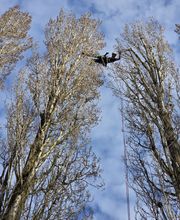 IMG-20260310-WA0020.jpg