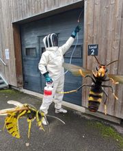 Stop Frelons image 17