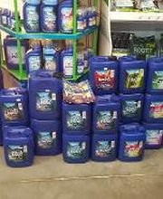 Jungle Paradise image 18