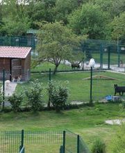 Village Canin le Grand l'Ilot image 2