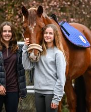 Reitsportzentrum St. Josefen AG Bild 4