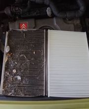 Llamarueda imagen 17