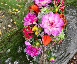 Fleurs d'Elfes Bild 1