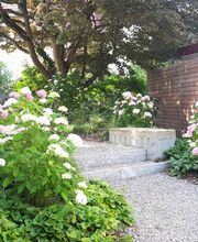 Aquilegia Im Garten Zuhause GmbH Bild 2