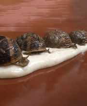 Ja s'hi val a emportar-t'ho imagen 1