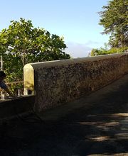 SARL Nobre image 9