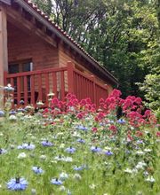 LE VILLAGE ENCHANTEUR image 3