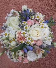Lily R image 15