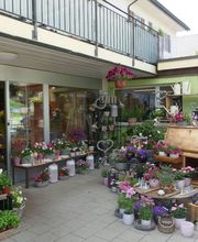 Blumen Eichenberger Oberrieden Bild 2