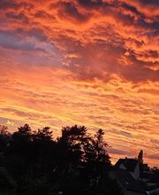 Like Cigarette image 6