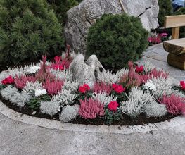 Oesch Fleurs & Jardins SA Bild 7