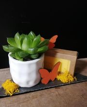 Aux Fleurs Et A Mesure image 7