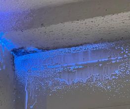 Expertco image 11