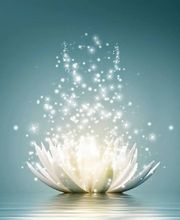 BAKER ALISON image 1