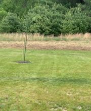 Brace Lawn Care image 8