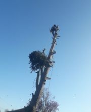 Bouillard Pascal image 7