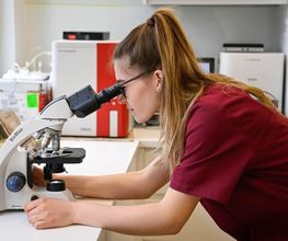 Tierklinik Rossweid AG Bild 8