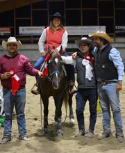 Gallery Professionale