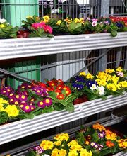 Raiffeisen-Markt Bodenwerder Bild 1