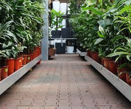 Intratuin Nuenen afbeelding 15