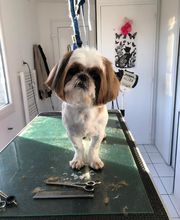 Chez Miss Perle image 20