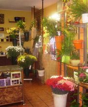 floristas-garcia-morato-interior-02.jpg