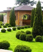 Garten- und Landschaftsbau Ferataj Bild 8