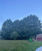 Elagage Gael Espaces Verts image 6