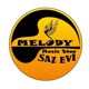 Melody Saz Evi Saz Baglama Kaufen Bestellen